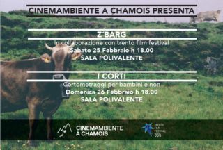 CinemAmbiente a Chamois - BeB Maison de Suis